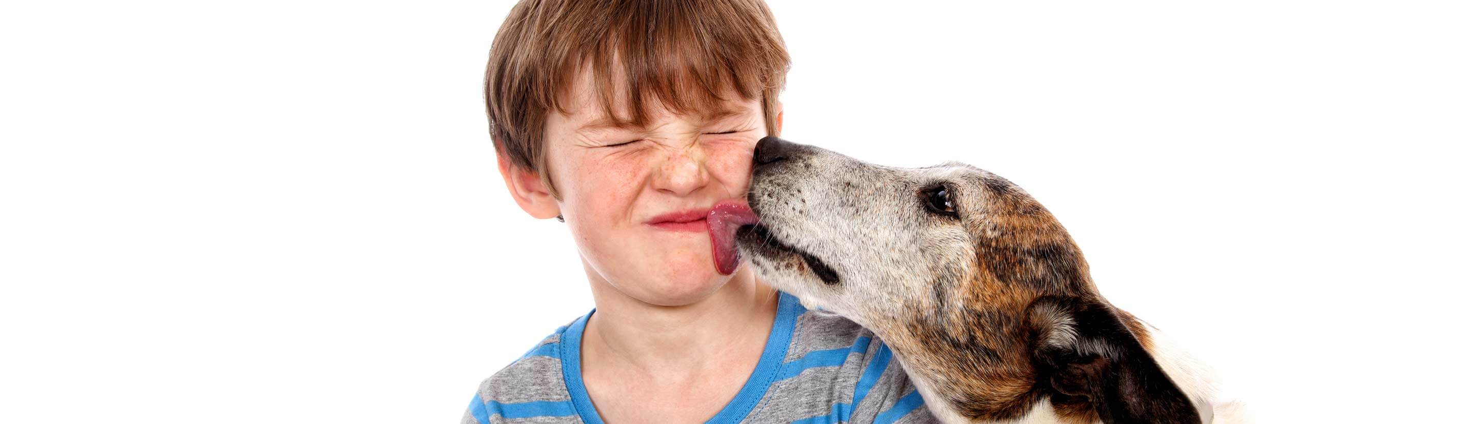 Boy Getting His Face Licked by Dog