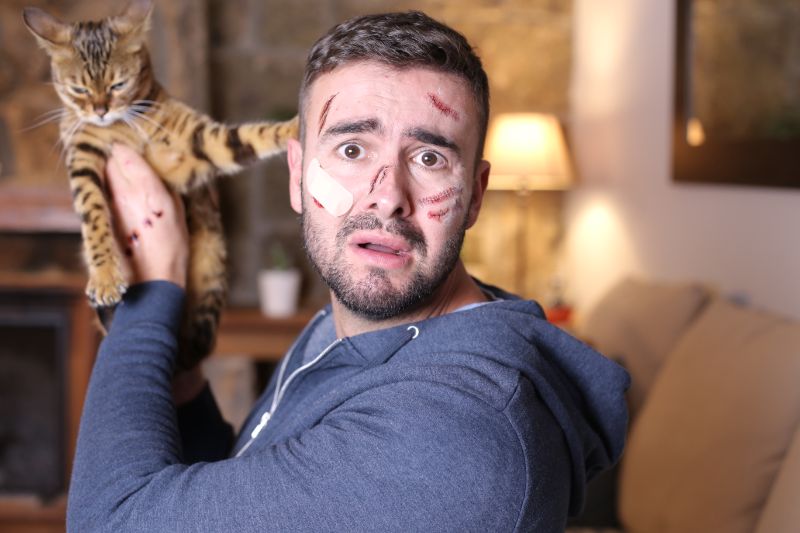 A man holding a cat while covered in scratches