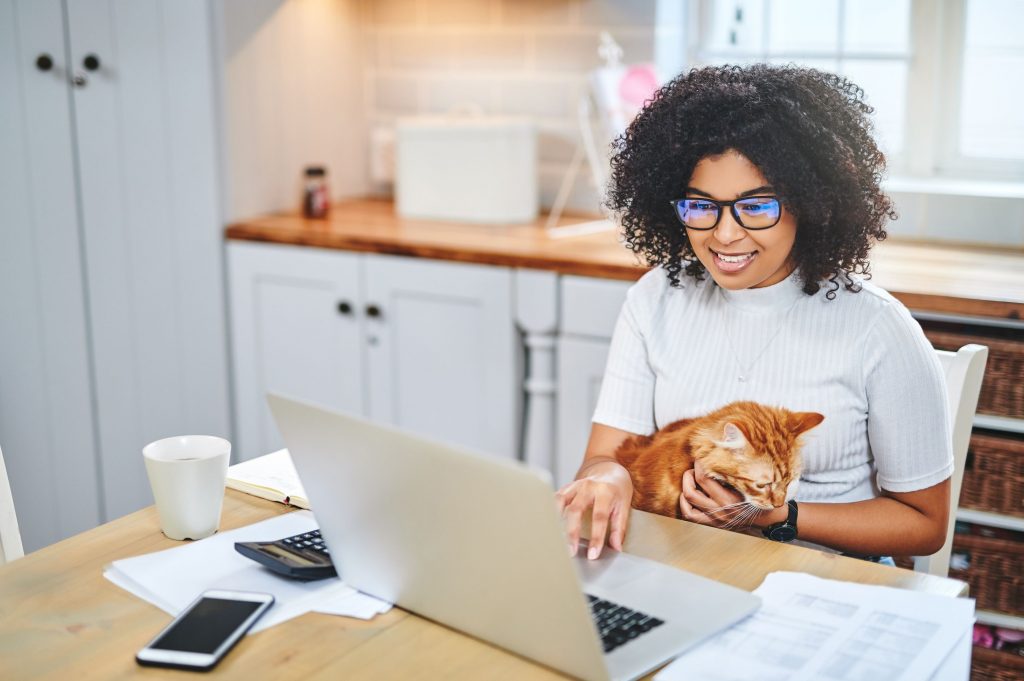 Researching pet insurance.