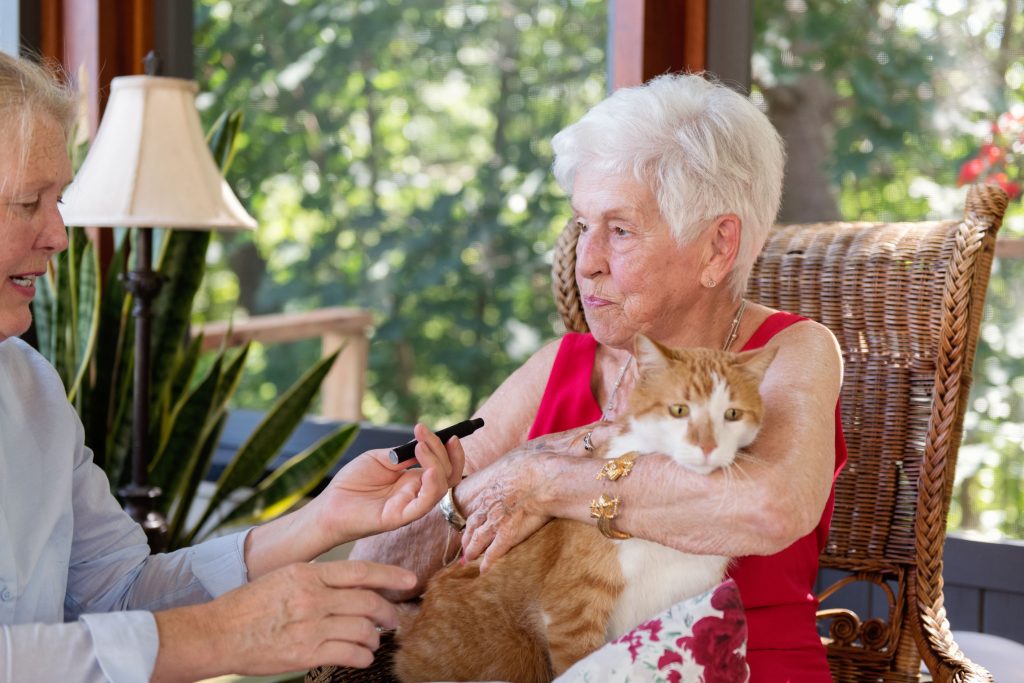 Vaping and pets.